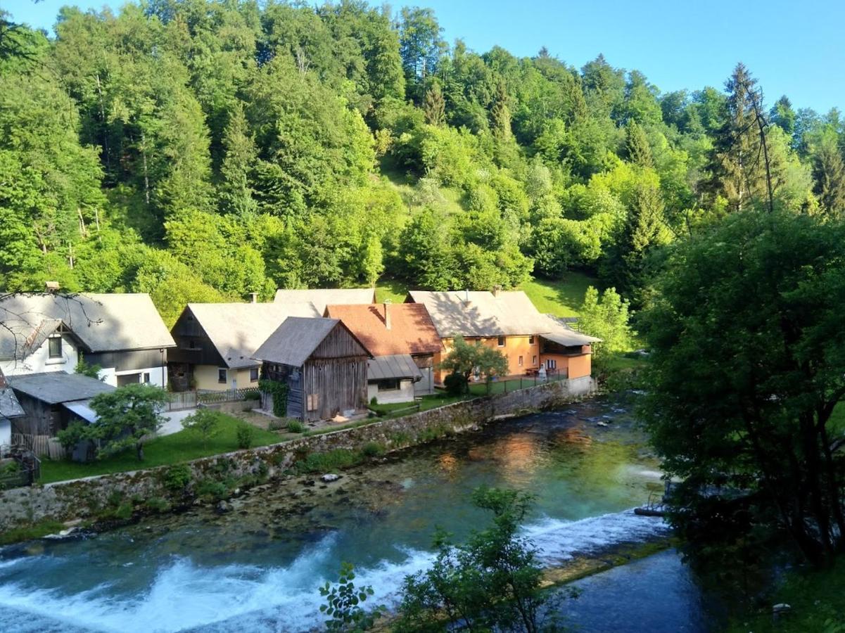 House By The River Villa Zgornje Gorje Exterior photo